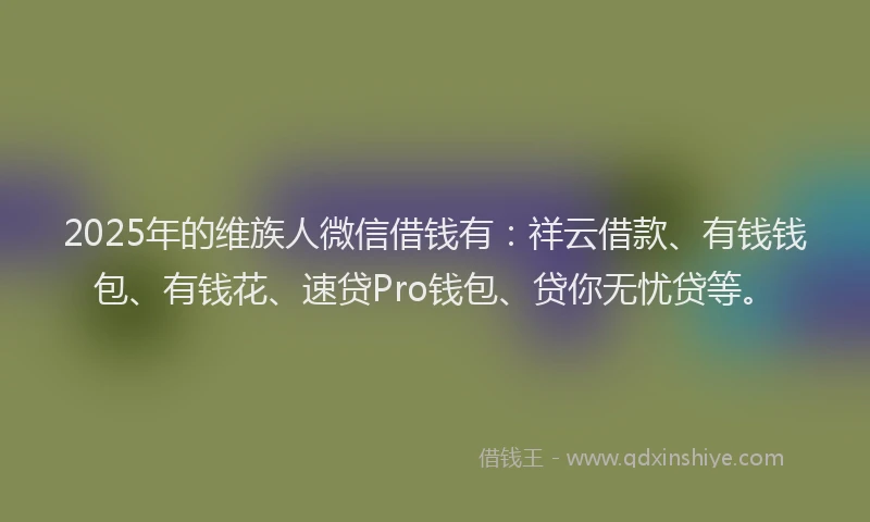 2025年的维族人微信借钱有：祥云借款、有钱钱包、有钱花、速贷Pro钱包、贷你无忧贷等。