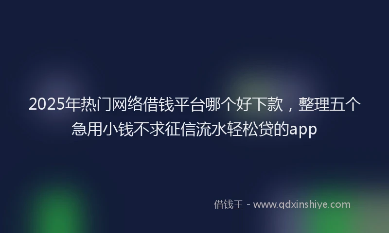 2025年热门网络借钱平台哪个好下款，整理五个急用小钱不求征信流水轻松贷的app