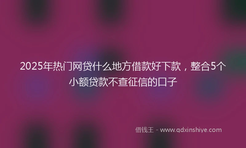 2025年热门网贷什么地方借款好下款，整合5个小额贷款不查征信的口子