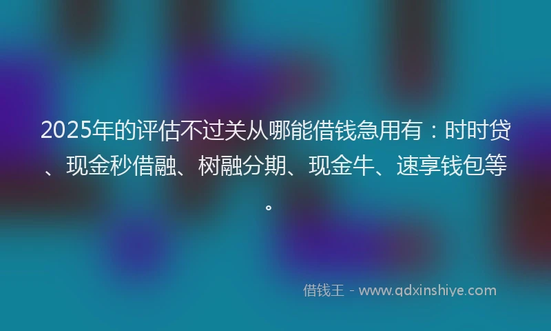 2025年的评估不过关从哪能借钱急用有：时时贷、现金秒借融、树融分期、现金牛、速享钱包等。