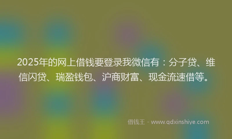2025年的网上借钱要登录我微信有：分子贷、维信闪贷、瑞盈钱包、沪商财富、现金流速借等。