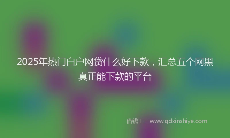 2025年热门白户网贷什么好下款，汇总五个网黑真正能下款的平台