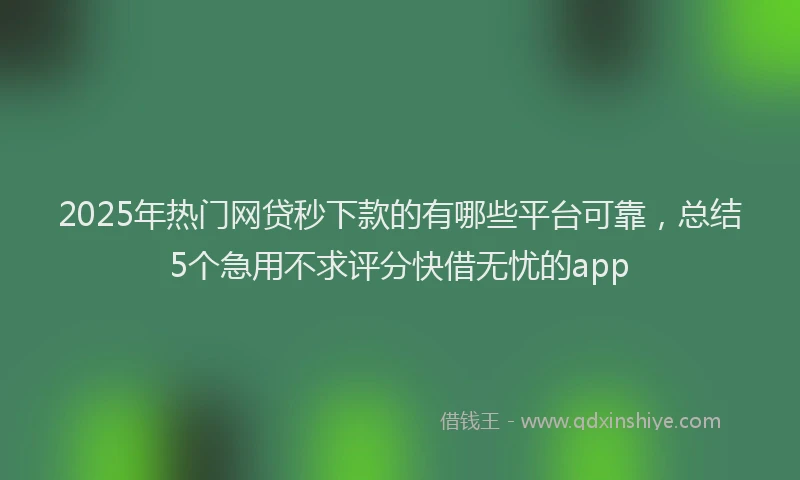 2025年热门网贷秒下款的有哪些平台可靠，总结5个急用不求评分快借无忧的app