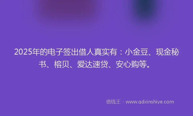 2025年的电子签出借人真实有：小金豆、现金秘书、榕贝、爱达速贷、安心购等。