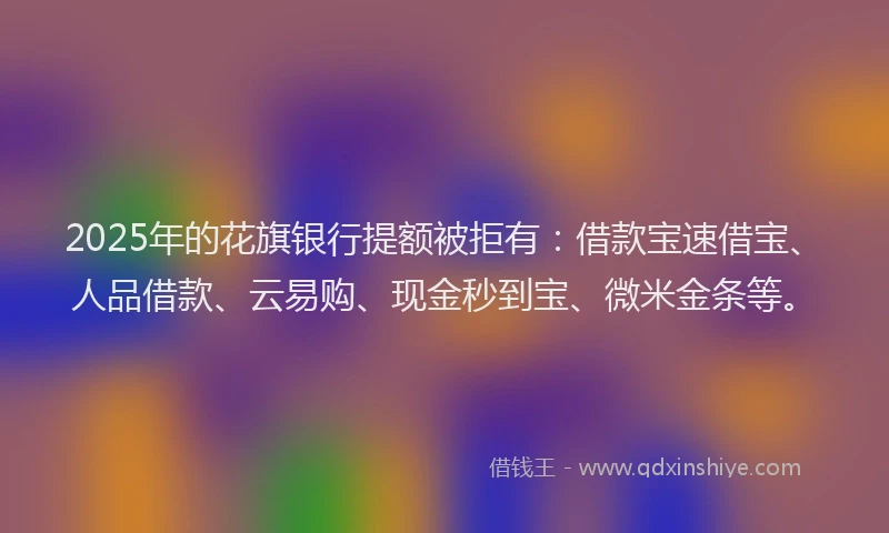 2025年的花旗银行提额被拒有：借款宝速借宝、人品借款、云易购、现金秒到宝、微米金条等。