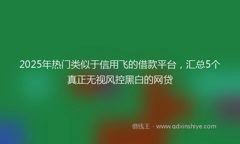 2025年热门类似于信用飞的借款平台，汇总5个真正无视风控黑白的网贷