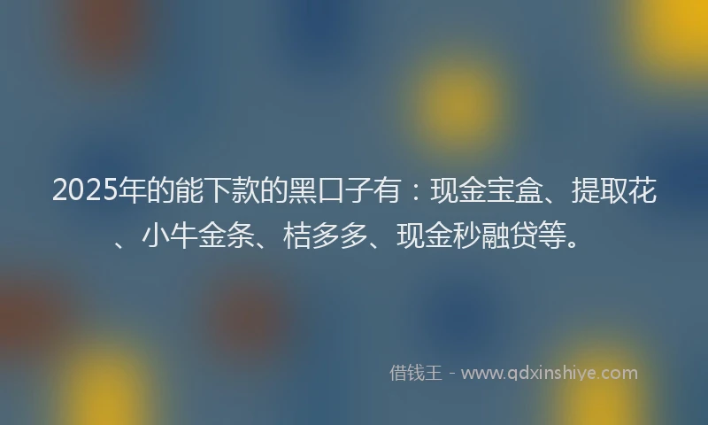 2025年的能下款的黑口子有：现金宝盒、提取花、小牛金条、桔多多、现金秒融贷等。