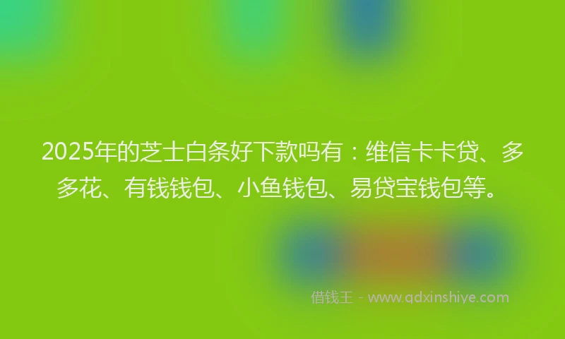 2025年的芝士白条好下款吗有：维信卡卡贷、多多花、有钱钱包、小鱼钱包、易贷宝钱包等。