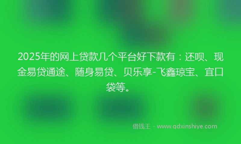 2025年的网上贷款几个平台好下款有：还呗、现金易贷通途、随身易贷、贝乐享-飞鑫琼宝、宜口袋等。