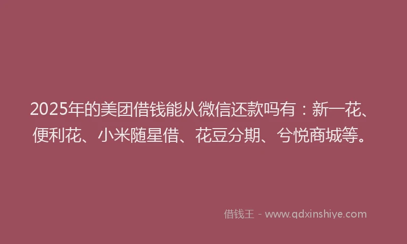 2025年的美团借钱能从微信还款吗有：新一花、便利花、小米随星借、花豆分期、兮悦商城等。