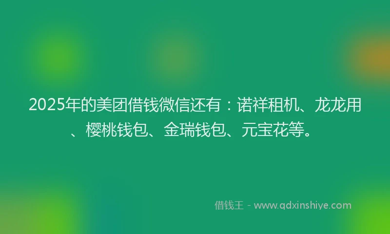 2025年的美团借钱微信还有：诺祥租机、龙龙用、樱桃钱包、金瑞钱包、元宝花等。