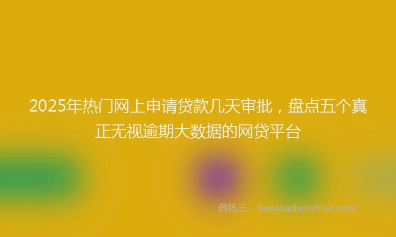2025年热门网上申请贷款几天审批，盘点五个真正无视逾期大数据的网贷平台