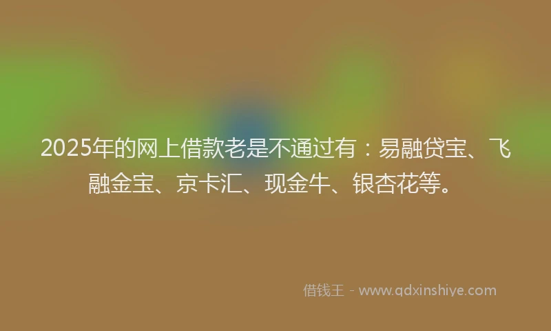 2025年的网上借款老是不通过有：易融贷宝、飞融金宝、京卡汇、现金牛、银杏花等。