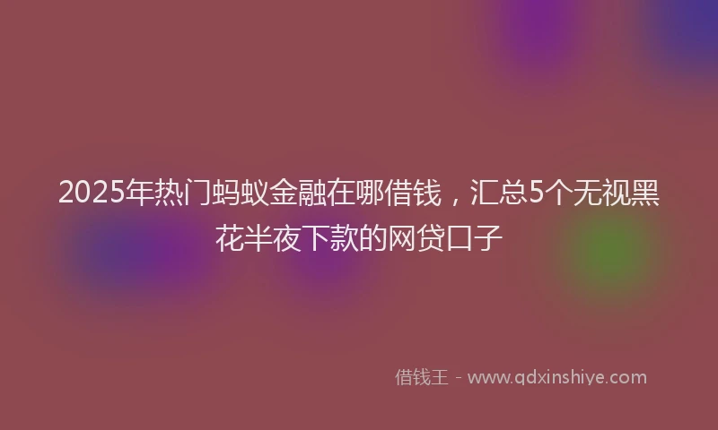 2025年热门蚂蚁金融在哪借钱，汇总5个无视黑花半夜下款的网贷口子