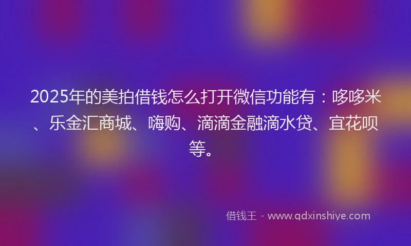2025年的美拍借钱怎么打开微信功能有：哆哆米、乐金汇商城、嗨购、滴滴金融滴水贷、宜花呗等。