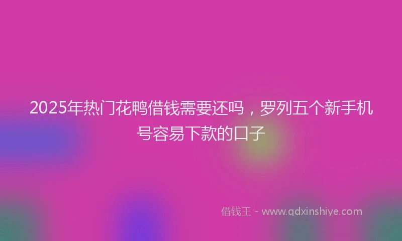 2025年热门花鸭借钱需要还吗，罗列五个新手机号容易下款的口子