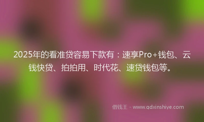 2025年的看准贷容易下款有：速享Pro+钱包、云钱快贷、拍拍用、时代花、速贷钱包等。