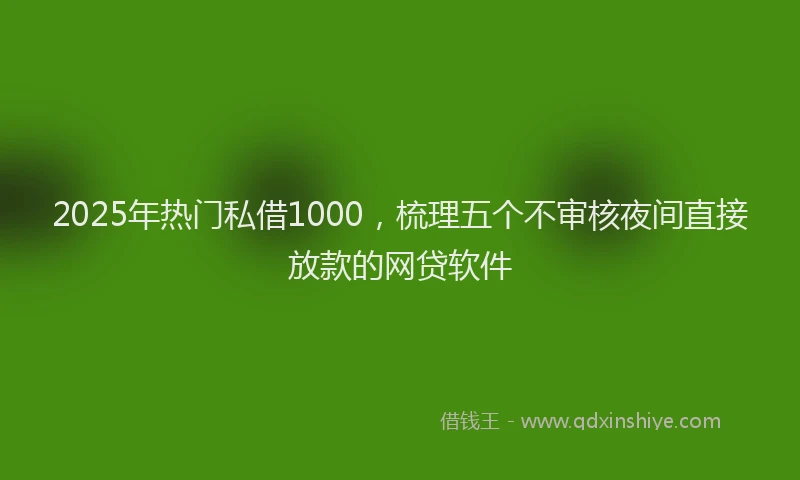 2025年热门私借1000，梳理五个不审核夜间直接放款的网贷软件