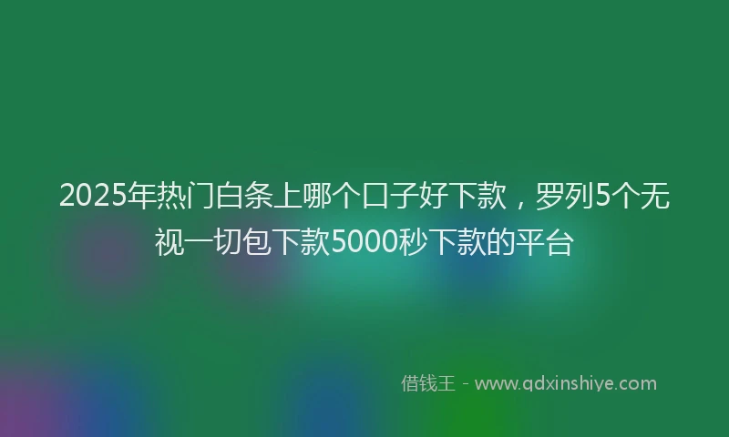 2025年热门白条上哪个口子好下款，罗列5个无视一切包下款5000秒下款的平台
