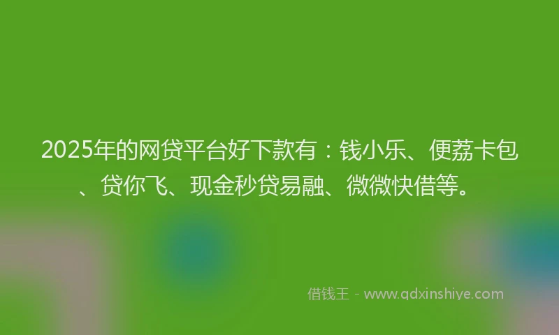 2025年的网贷平台好下款有：钱小乐、便荔卡包、贷你飞、现金秒贷易融、微微快借等。