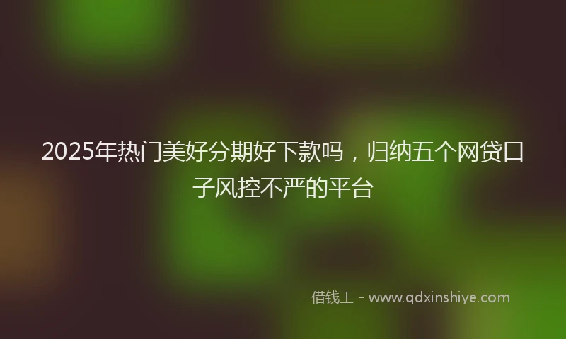 2025年热门美好分期好下款吗，归纳五个网贷口子风控不严的平台