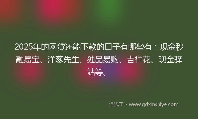 2025年的网贷还能下款的口子有哪些有：现金秒融易宝、洋葱先生、独品易购、吉祥花、现金驿站等。