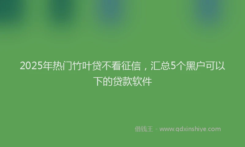 2025年热门竹叶贷不看征信，汇总5个黑户可以下的贷款软件