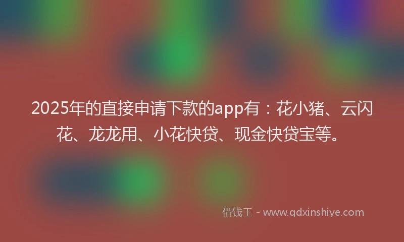 2025年的直接申请下款的app有：花小猪、云闪花、龙龙用、小花快贷、现金快贷宝等。
