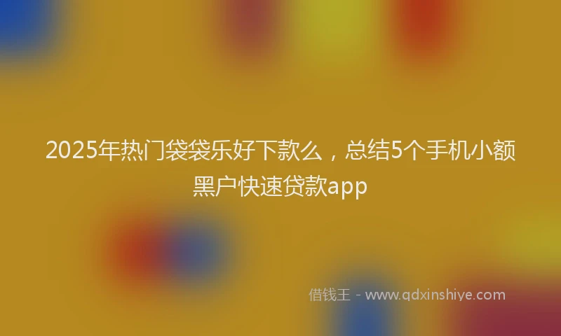 2025年热门袋袋乐好下款么，总结5个手机小额黑户快速贷款app