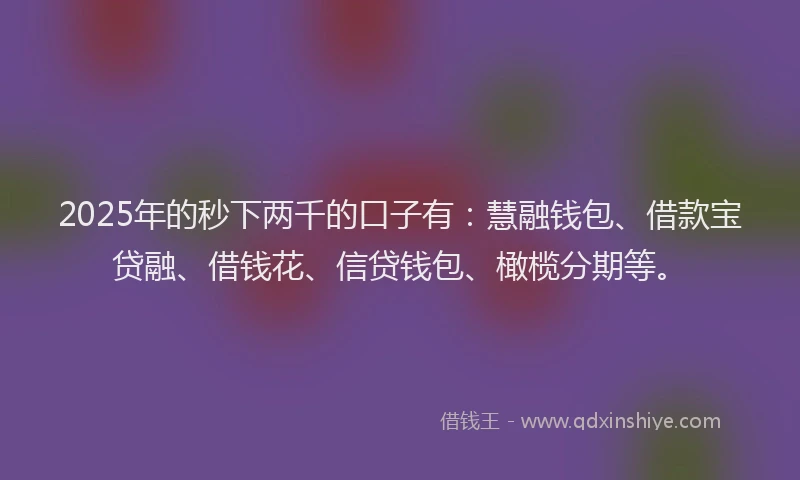 2025年的秒下两千的口子有：慧融钱包、借款宝贷融、借钱花、信贷钱包、橄榄分期等。
