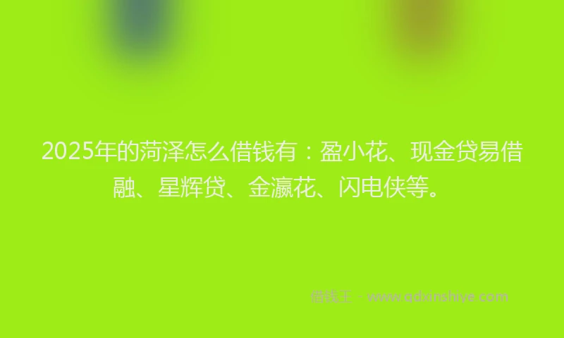2025年的菏泽怎么借钱有：盈小花、现金贷易借融、星辉贷、金瀛花、闪电侠等。