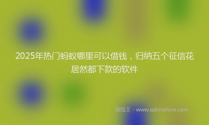 2025年热门蚂蚁哪里可以借钱，归纳五个征信花居然都下款的软件