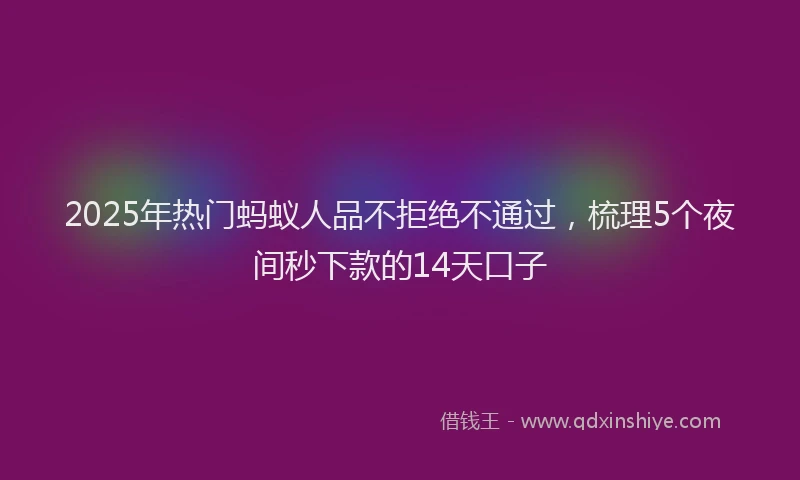 2025年热门蚂蚁人品不拒绝不通过，梳理5个夜间秒下款的14天口子