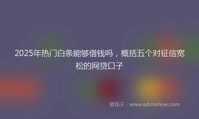 2025年热门白条能够借钱吗，概括五个对征信宽松的网贷口子