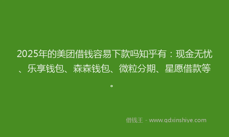 2025年的美团借钱容易下款吗知乎有：现金无忧、乐享钱包、森森钱包、微粒分期、星愿借款等。