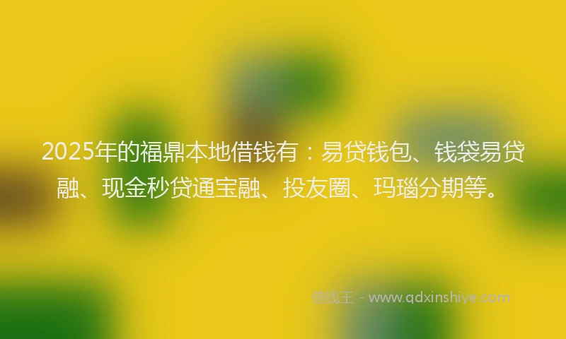 2025年的福鼎本地借钱有：易贷钱包、钱袋易贷融、现金秒贷通宝融、投友圈、玛瑙分期等。