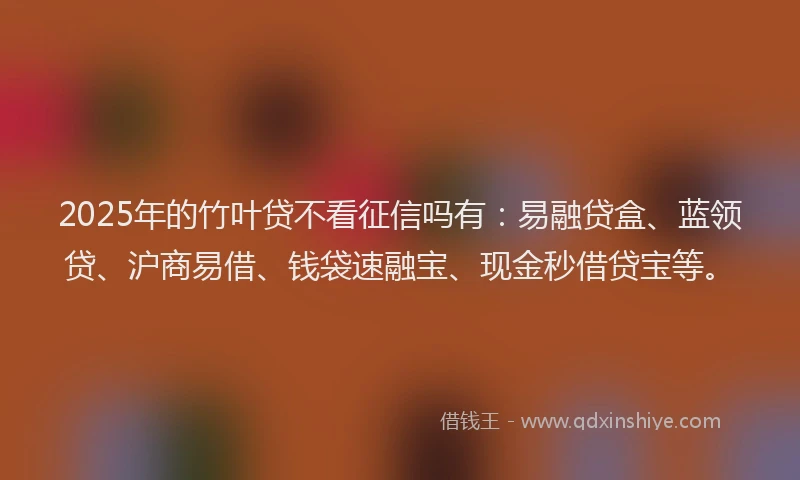 2025年的竹叶贷不看征信吗有：易融贷盒、蓝领贷、沪商易借、钱袋速融宝、现金秒借贷宝等。