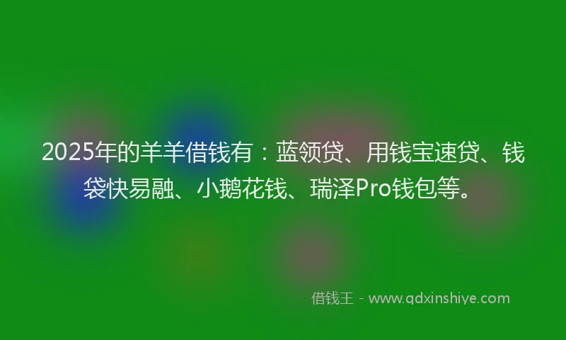 2025年的羊羊借钱有：蓝领贷、用钱宝速贷、钱袋快易融、小鹅花钱、瑞泽Pro钱包等。