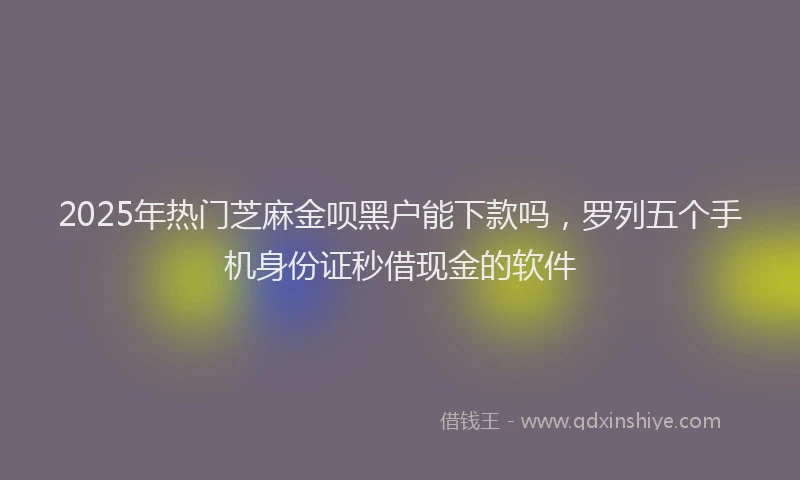 2025年热门芝麻金呗黑户能下款吗，罗列五个手机身份证秒借现金的软件