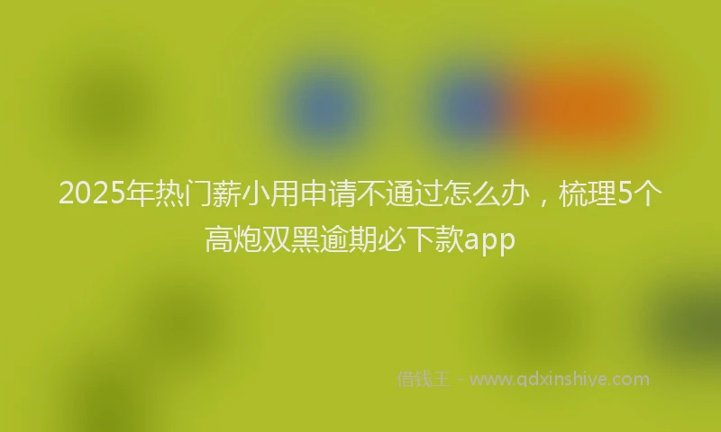 2025年热门薪小用申请不通过怎么办，梳理5个高炮双黑逾期必下款app