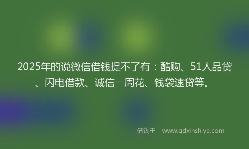 2025年的说微信借钱提不了有：酷购、51人品贷、闪电借款、诚信一周花、钱袋速贷等。