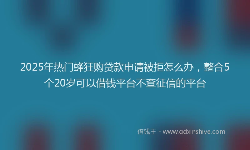 2025年热门蜂狂购贷款申请被拒怎么办，整合5个20岁可以借钱平台不查征信的平台