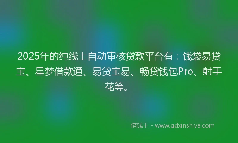 2025年的纯线上自动审核贷款平台有：钱袋易贷宝、星梦借款通、易贷宝易、畅贷钱包Pro、射手花等。