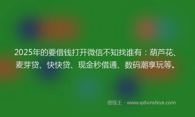 2025年的要借钱打开微信不知找谁有：葫芦花、麦芽贷、快快贷、现金秒借通、数码潮享玩等。