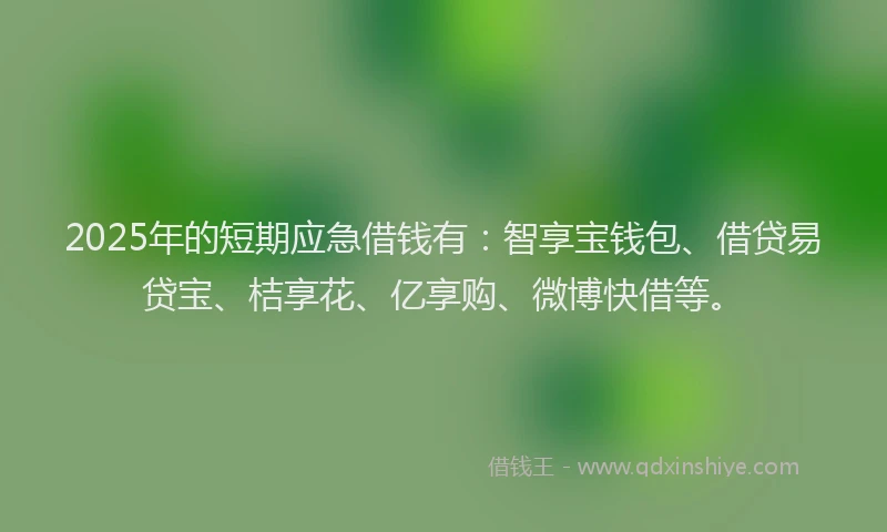 2025年的短期应急借钱有：智享宝钱包、借贷易贷宝、桔享花、亿享购、微博快借等。