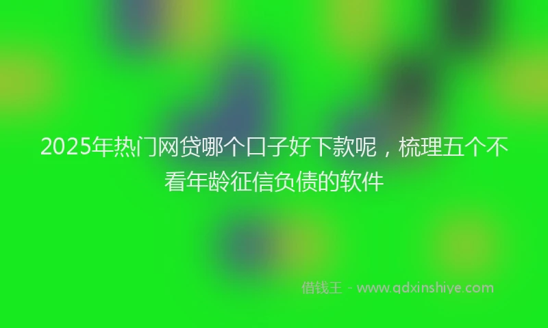 2025年热门网贷哪个口子好下款呢，梳理五个不看年龄征信负债的软件