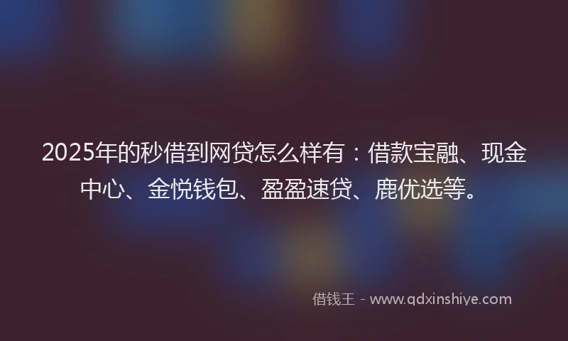 2025年的秒借到网贷怎么样有：借款宝融、现金中心、金悦钱包、盈盈速贷、鹿优选等。