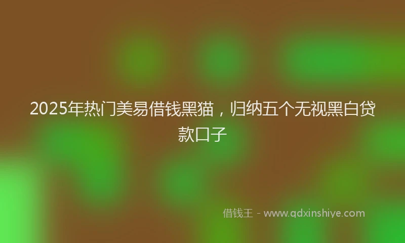 2025年热门美易借钱黑猫，归纳五个无视黑白贷款口子