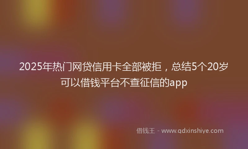 2025年热门网贷信用卡全部被拒，总结5个20岁可以借钱平台不查征信的app