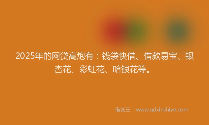 2025年的网贷高炮有：钱袋快借、借款易宝、银杏花、彩虹花、哈银花等。